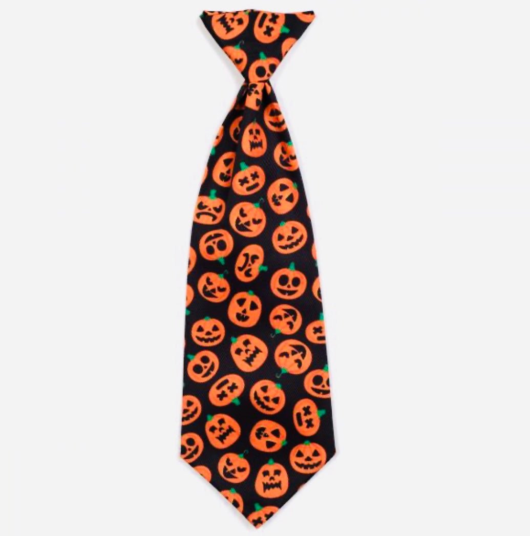 Neck Tie - Jack - O - Lantern - Gussied Up Pet Boutique