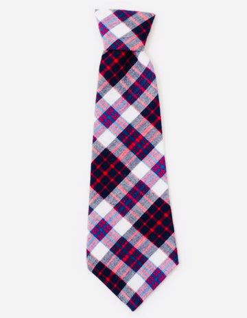 Neck Tie - Purple Plaid - Gussied Up Pet Boutique