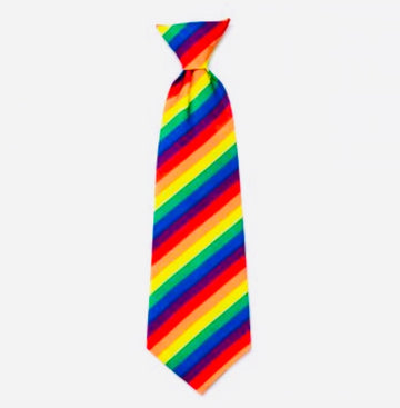 Neck Tie - Rainbow - Gussied Up Pet Boutique