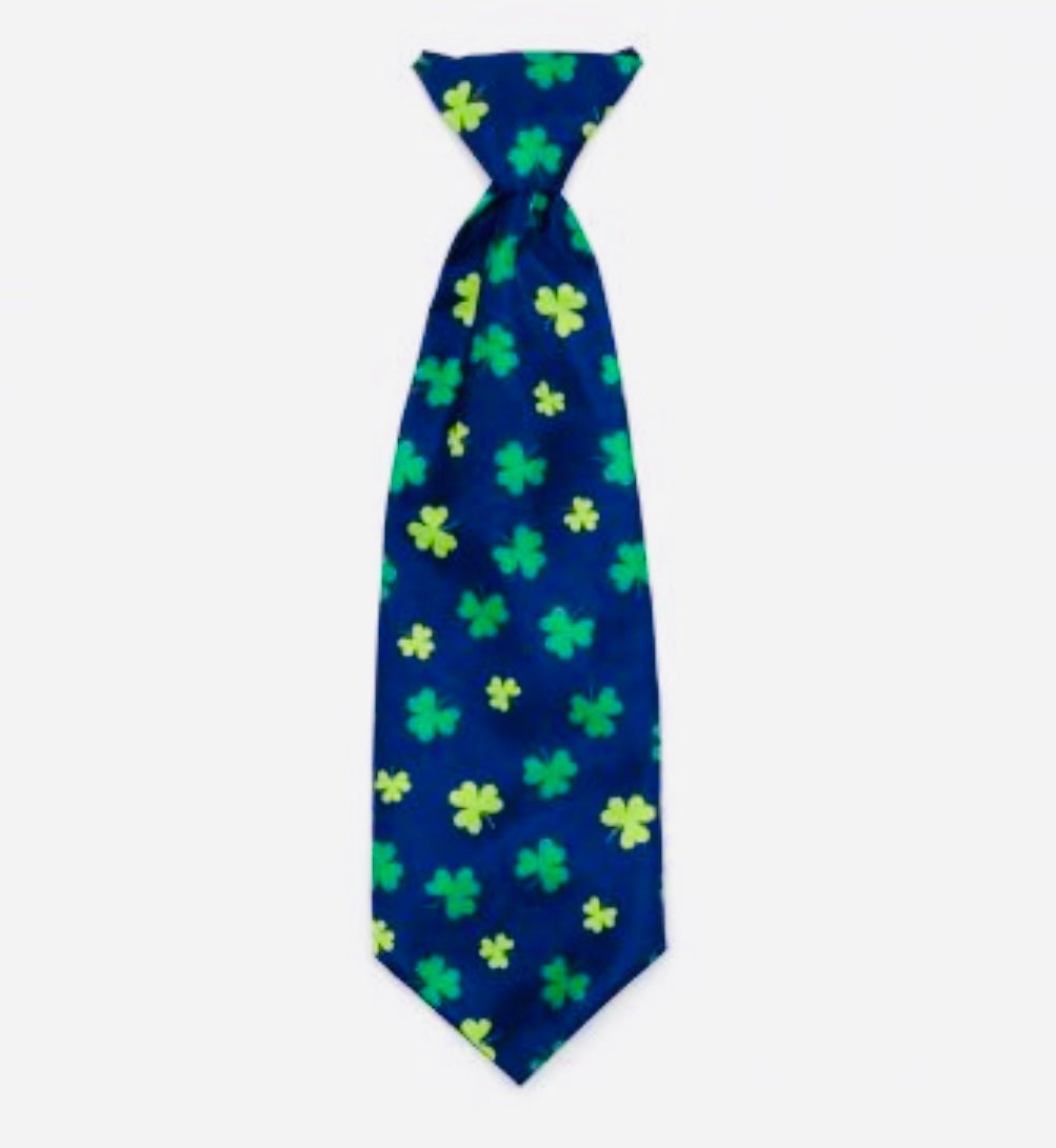 Neck Tie - Shamrock - Gussied Up Pet Boutique