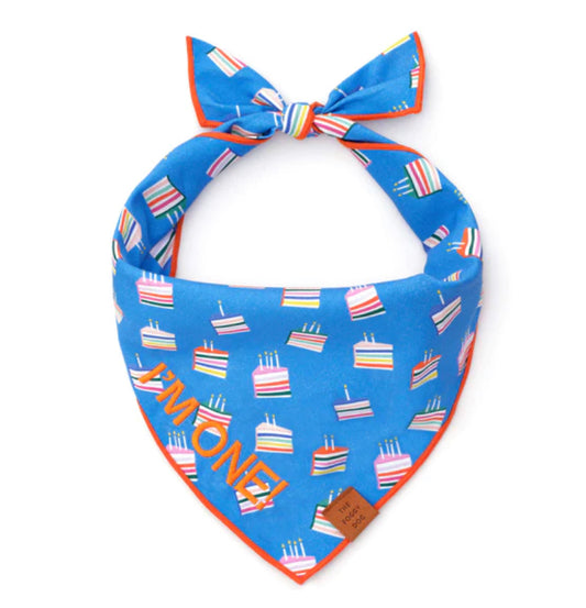 Bandana - Birthday Cake Bandana
