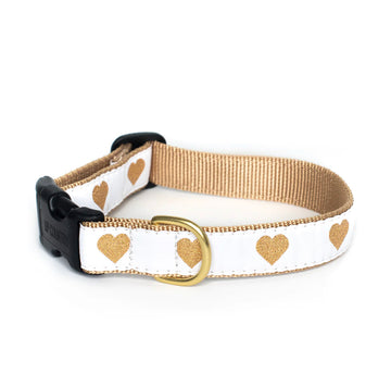 Dog Collar - Heart of Gold White