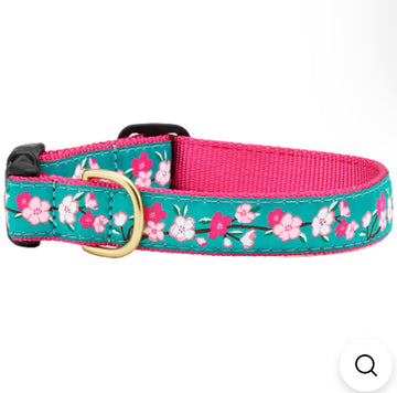 Dog Collar - Cherry Blossom