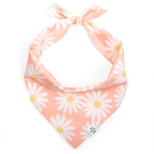 Bandana - Pink Daisies
