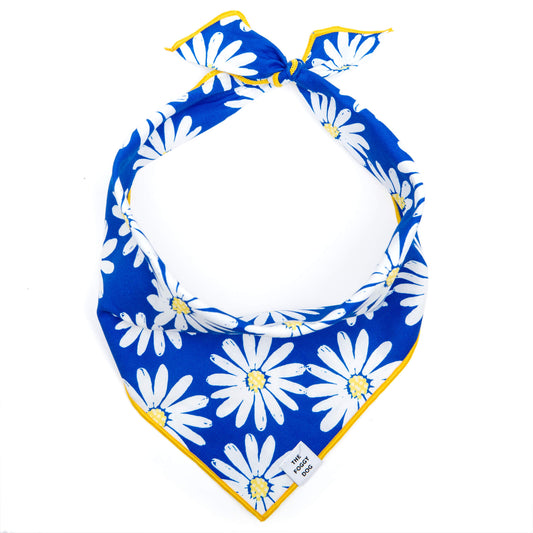 Bandana - Blue Daisies