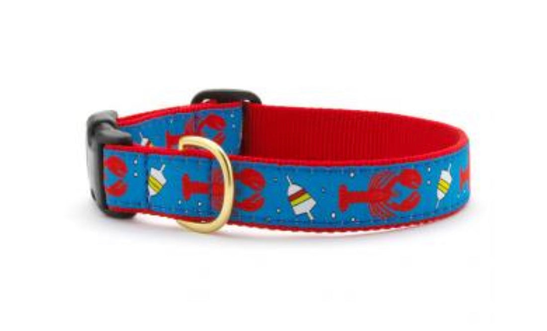 Dog Collar - Lobster