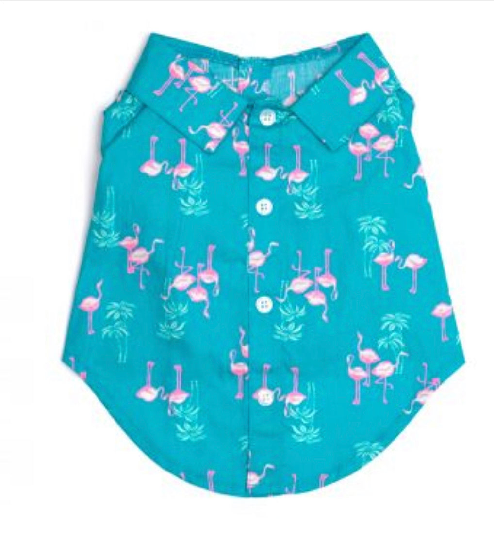 Shirt Button Down - Flamingo