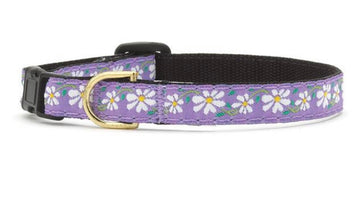 Cat Collar - Daisy