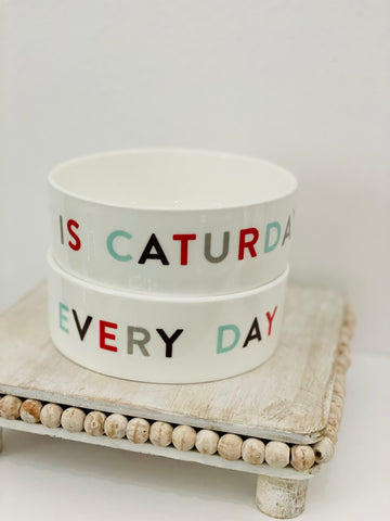 Cat Bowl - Everyday Caturday