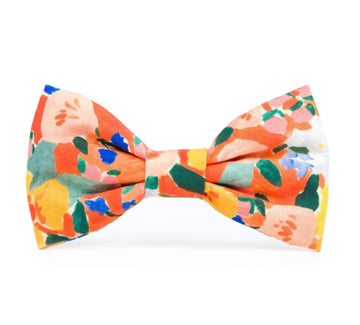 Bow Tie - Clementine
