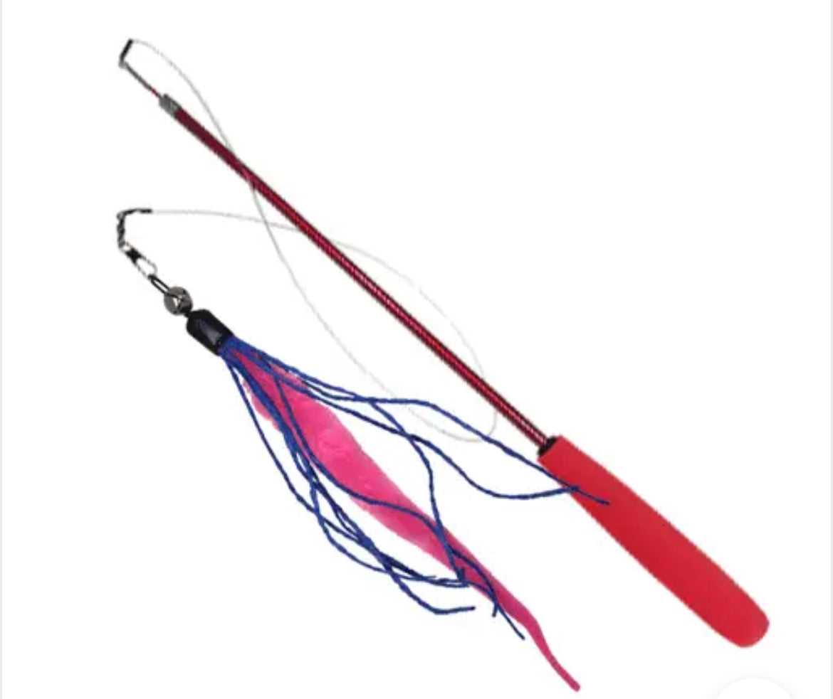 Cat Toy - Wiggly Wand