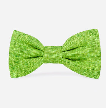 Bow Tie - Light Green
