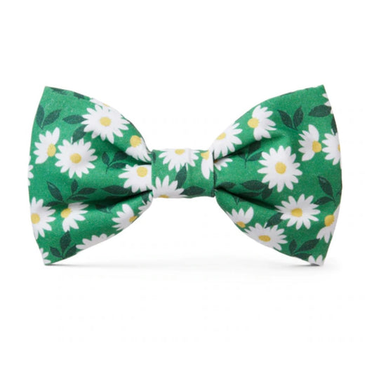 Bow Tie - Green Daisies