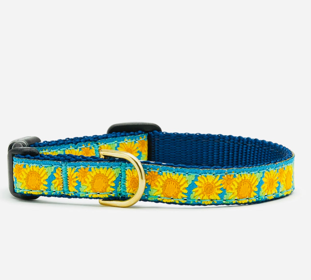 Cat Collar - Sunflower
