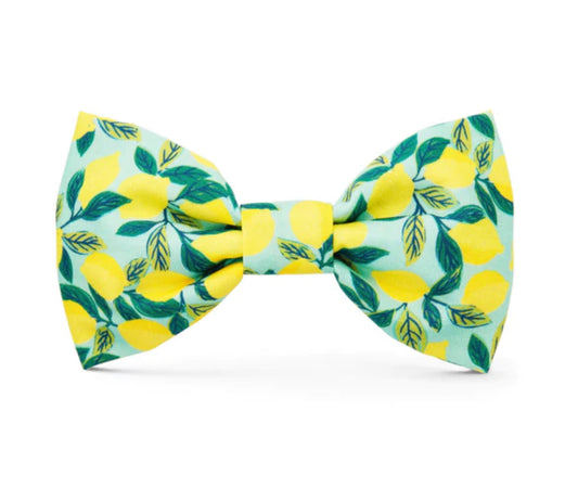 Bow Tie - Lemon Zest
