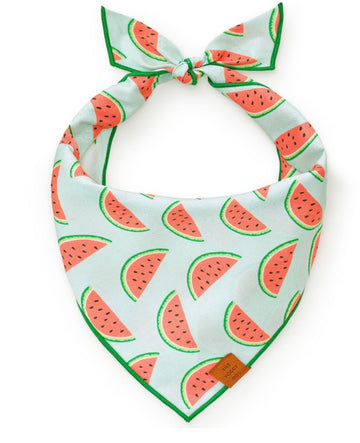Bandana - Watermelon