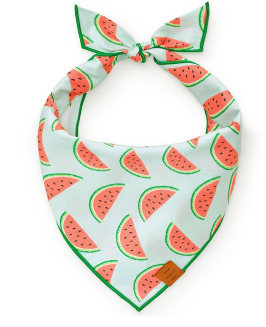 Bandana - Watermelon