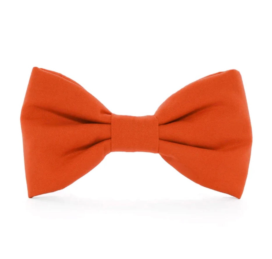 Bow Tie - Orange
