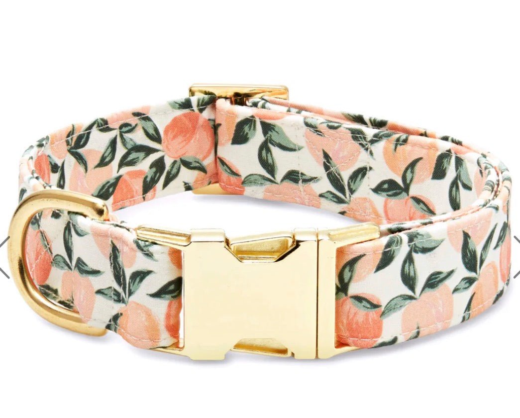 Peaches Dog Collar - Foggy Dog - Gussied Up Pet Boutique