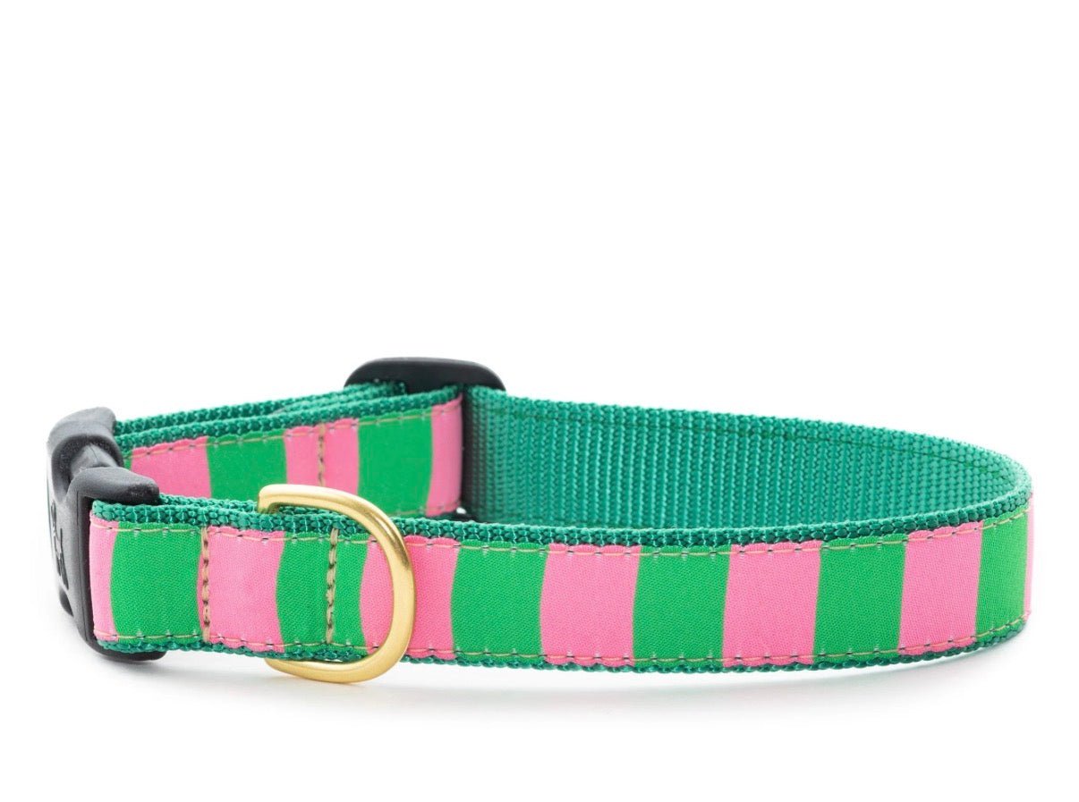 Pink & Green Cabana Stripe Dog Collar Up Country Comfort and Style - Gussied Up Pet Boutique