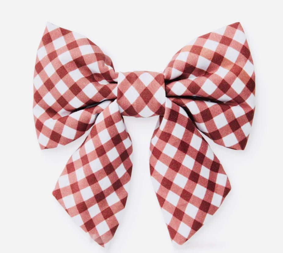Red Gingham - Gussied Up Pet Boutique