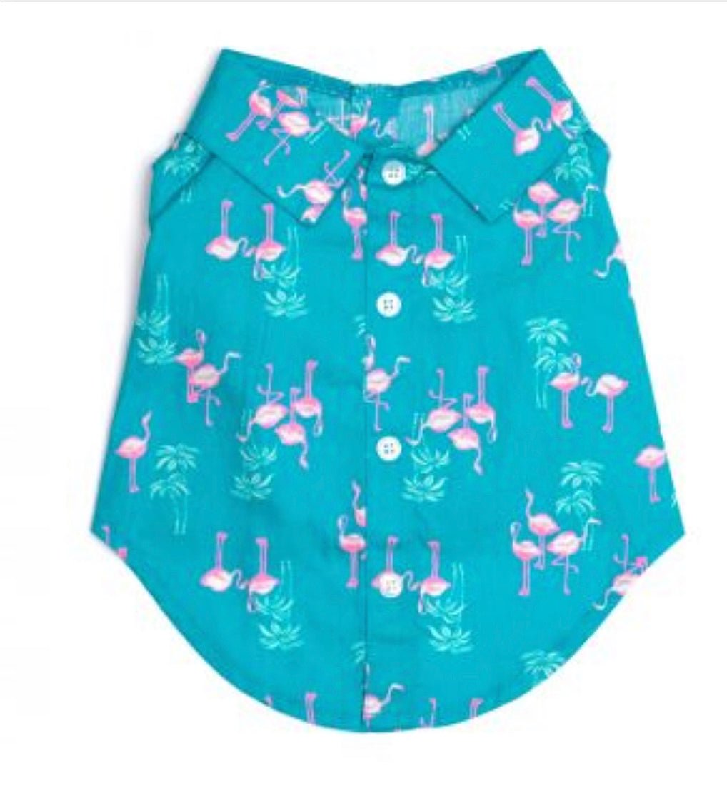 Shirt Button Down - Flamingo - Gussied Up Pet Boutique