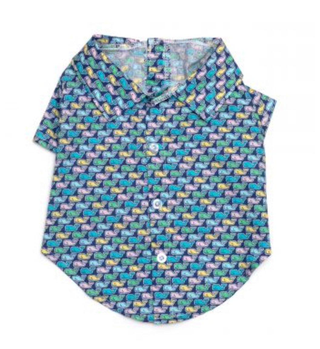 Shirt Button Down - Whales - Gussied Up Pet Boutique