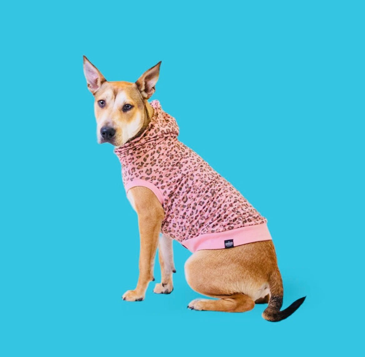 T-shirt Pink Leopard - Gussied Up Pet Boutique