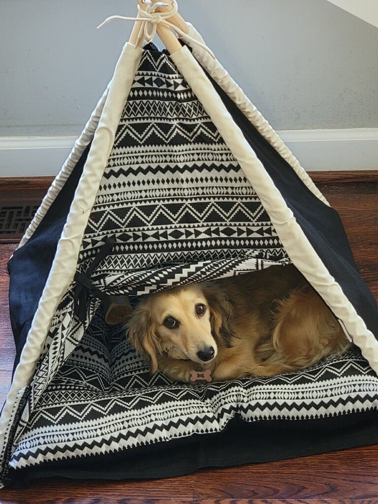 Navy Tribal Print Teepee Pet Bed