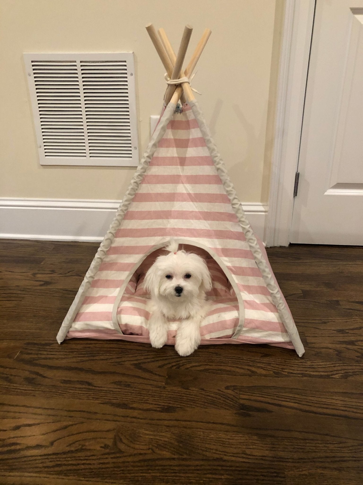 Teepee Dog Bed - Pink Stripe - Gussied Up Pet Boutique