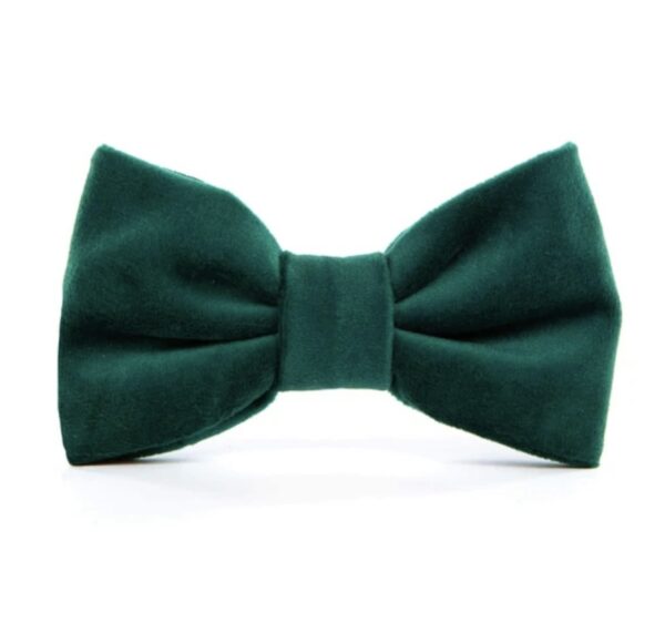 Bow Tie - Christmas Green